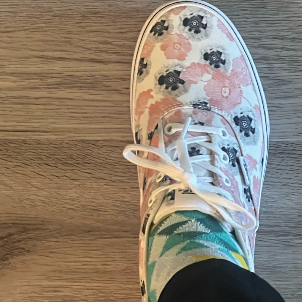 VANS team wellness old Skool shoes